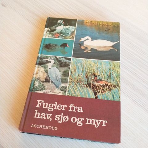 Fugler fra hav, sjø og myr