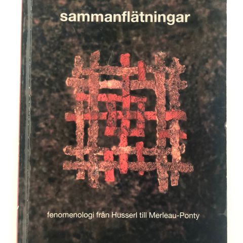 Jan Bengtsson. Sammenflätninger. Fenomenologi fra Husserl til Merleau-Ponty