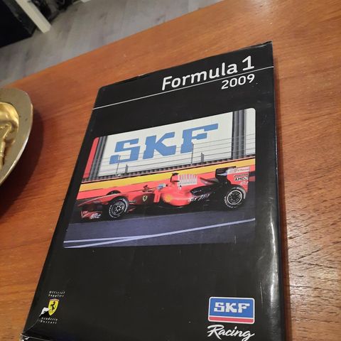 Formula 1 - 2009 - SKF racing