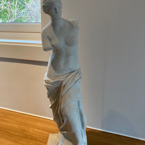 Venus statue i stein