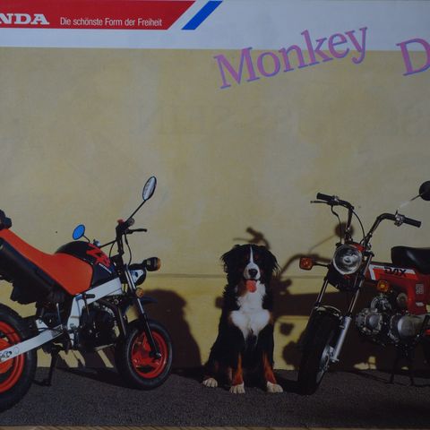 Honda /  Dax brosjyre