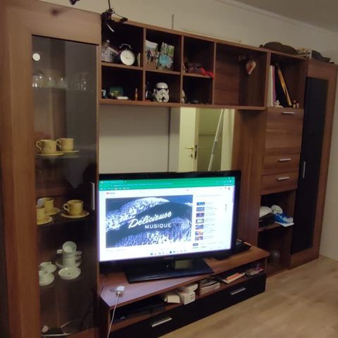 Display cabinet / wardrobe / tv table/exhibiton cabinet