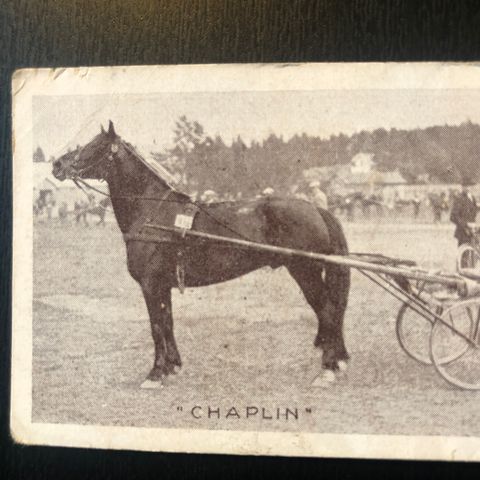 Chaplin Thor Østbye Herland Trav Bjerke sigarettkort 1929 Tiedemanns Tobak