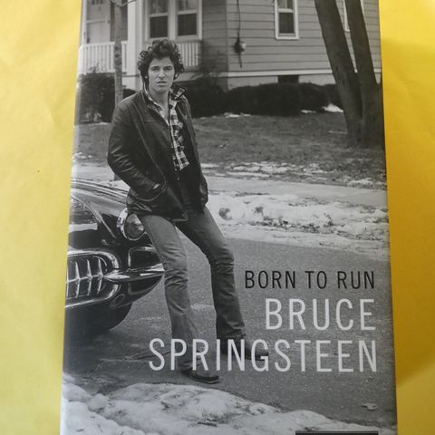 Bruce Springsteen: Born to run