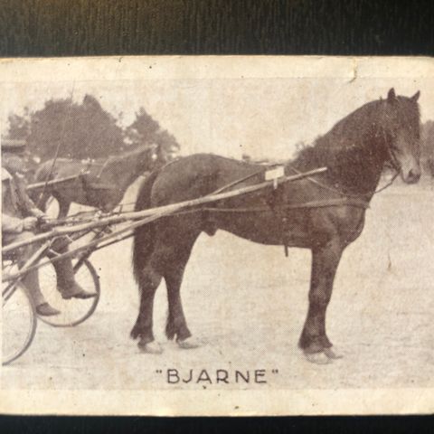 Bjarne Hansen Freberg Sandefjord Trav Bjerke sigarettkort 1928 Tiedemanns Tobak