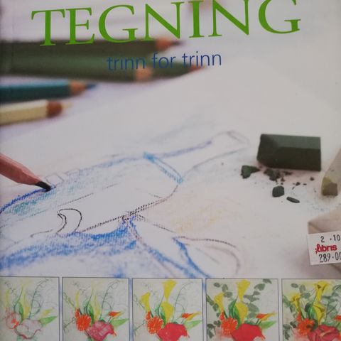 Avansert tegning trinn for trinn