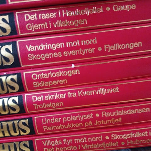 Annonsebilde