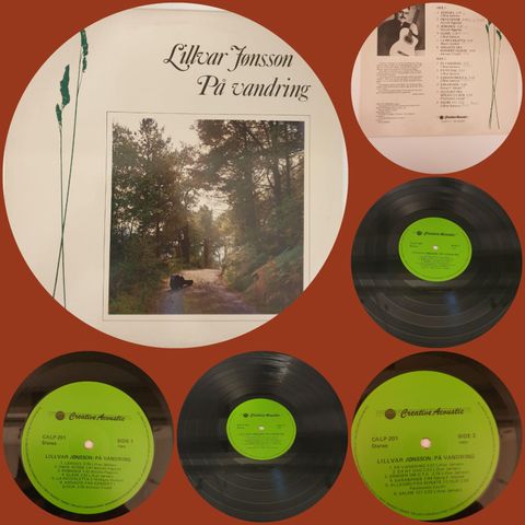 VINTAGE/RETRO LP-VINYL "LILLVAR JØNSSON/PÅ VANDRING 1985 "