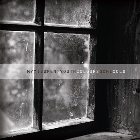 Cd'er - My Misspent Youth - Twigs