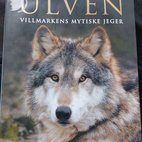 Ulven. Villmarkens mytiske jeger