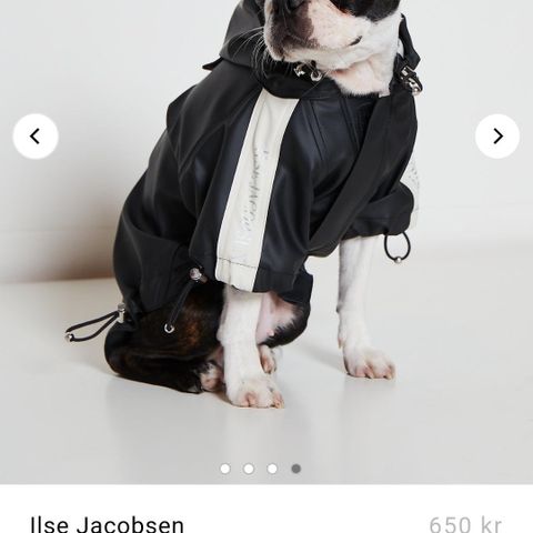 Ilse Jacobsen regnjakke til liten hund