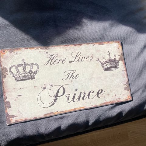 Here lives the Prince skilt
