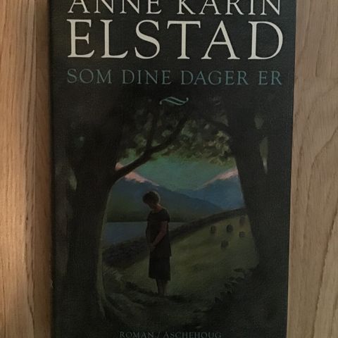 Bok: Anne-Karin Elstad, Som dine dager er