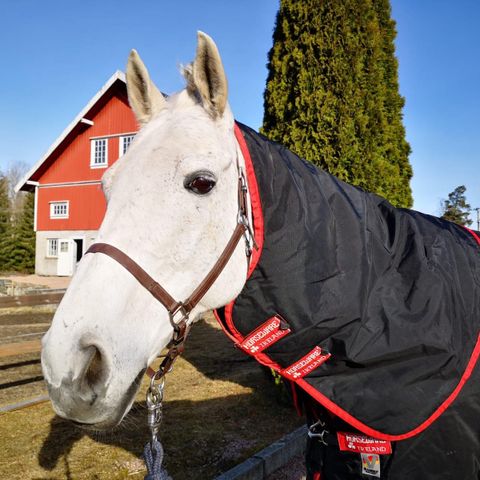 Horseware Rambo Varylayer 450 gram 145 cm. - nesten ubrukt