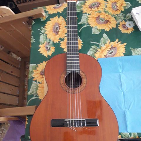 Taymar guitar