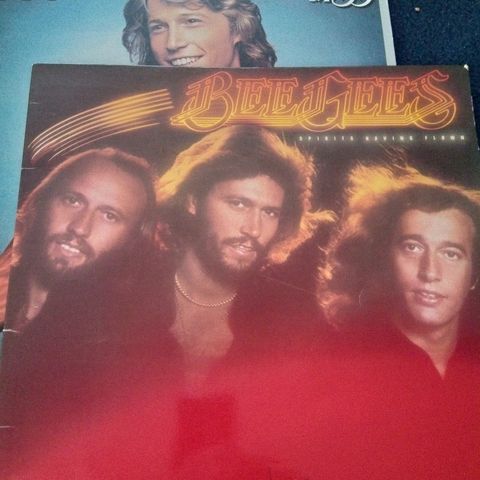 2 x Bee Gees / Andy Gibb - selges samlet kr 70,-