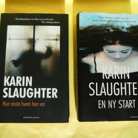 Karin Slaughter: Bøker