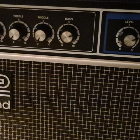 Roland Studio Bass-100