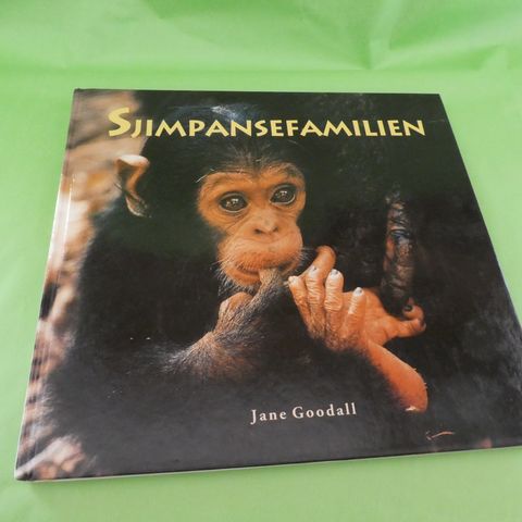 Jane Goodall: Sjimpansefamilien