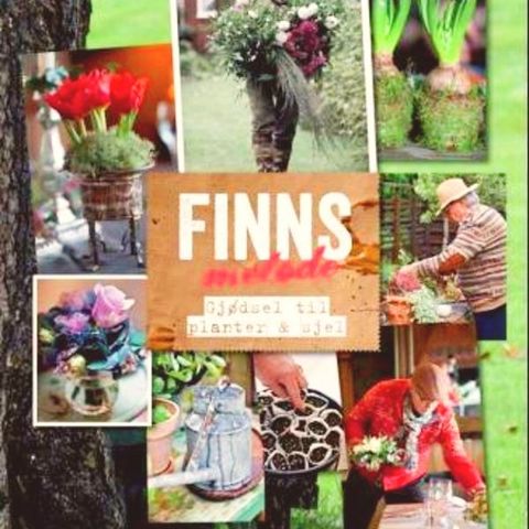 Finns metode - gjødsel til planter og sjel - Blomster-Finn (Schjøll) gir tips