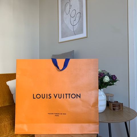 Louis Vuitton pose