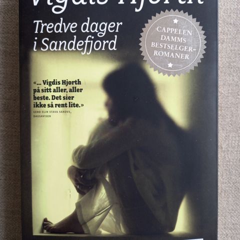 Tredve dager i Sandefjord av Vigdis Hjorth