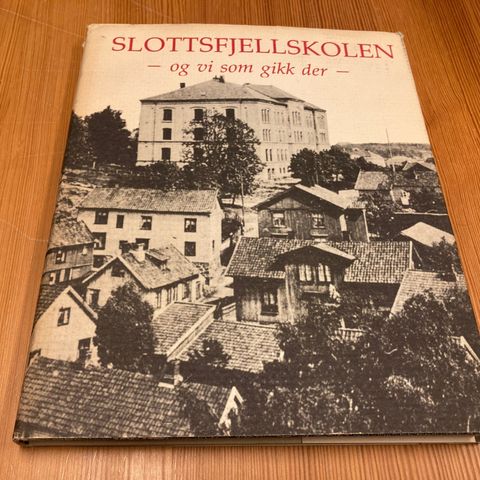 Erling Dittmann : SLOTTSFJELLSKOLEN - OG VI SOM GIKK DER