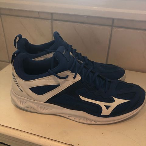 Mizuno volley/hall sko str 44,5