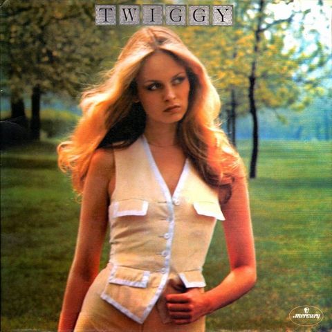 Twiggy – Twiggy ( LP, Album, Gat 1976)