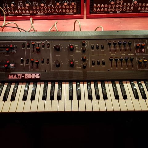 Korg Maxi-Korg 800DV (Bud Ønskes)