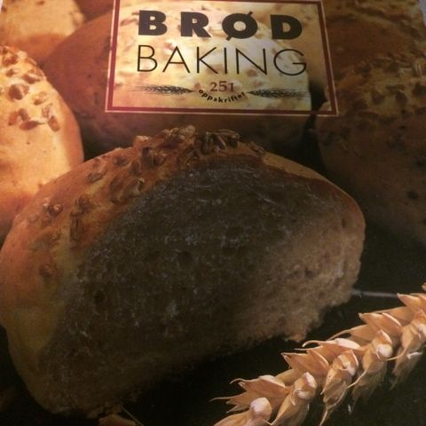Den store boken om brødbaking