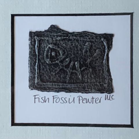 Innrammet fossil av fisk