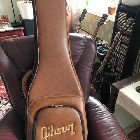 Jeg Ønsker å kjøpe en: Gibson Softcase.