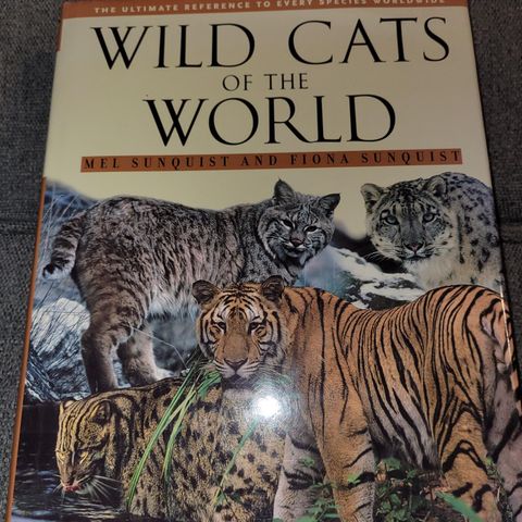 Wild cats of the world