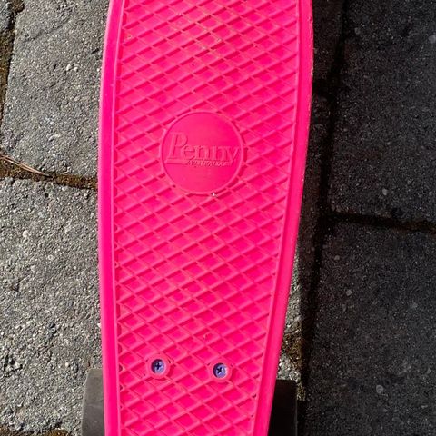 Skateboard (Pennyboard)