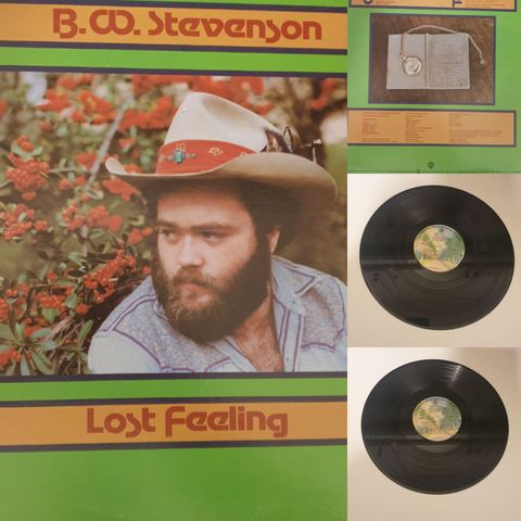 VINTAGE/RETRO LP-VINYL "B.W STEVENSON/LOST FEELING 1977"