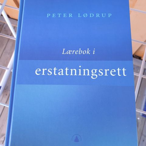 Lærebok i erstatningsrett - Peter Lødrup