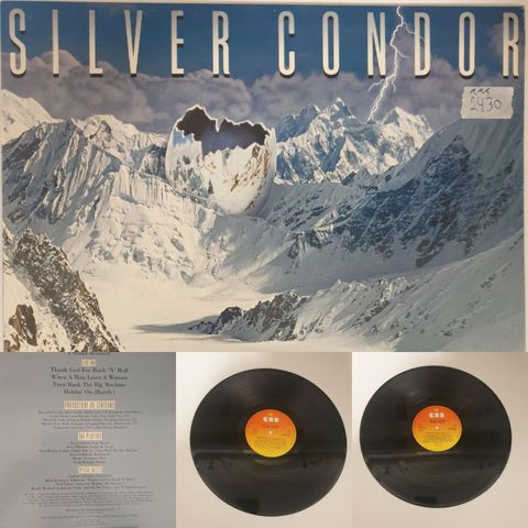 VINTAGE/RETRO LP-VINYL "SILVER GONDOR/TROUBLE AT HOME 1983"