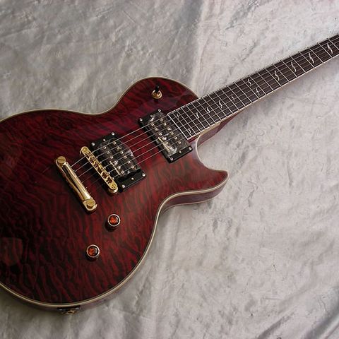 Epiphone Les Paul Custom Prophecy