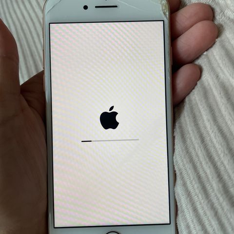 iPhone 8, 64 gb rosegull