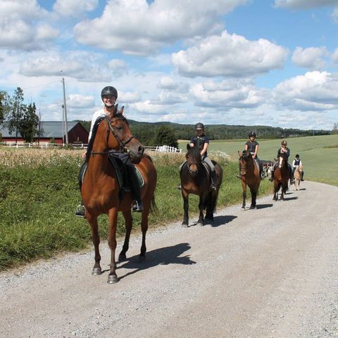 Stallplass  i Spydeberg