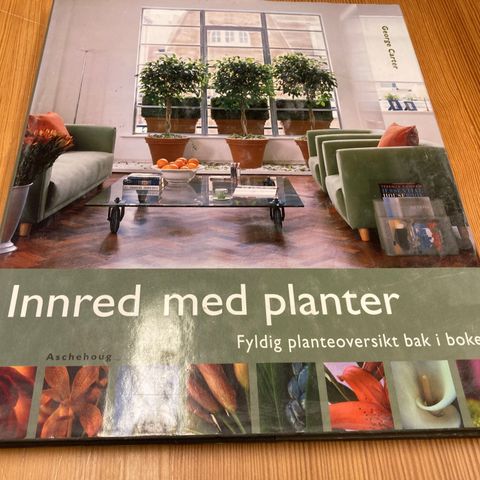 George Carter : INNRED MED PLANTER