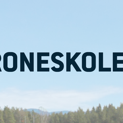 Domenenavnet droneskolen.no vurderes solgt