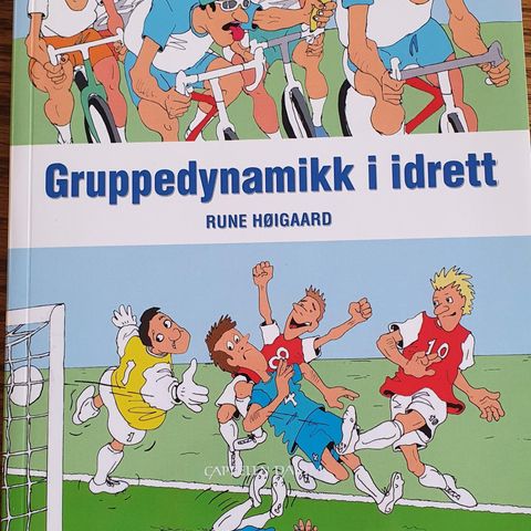 Gruppedynamikk i Idrett