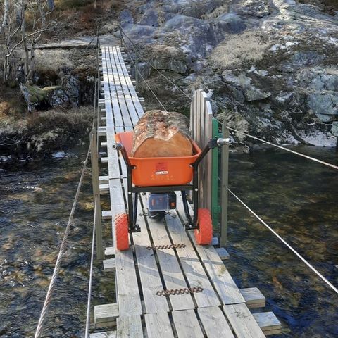 Annonsebilde