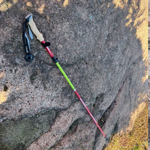 Vandrestaver, alpinstock, gåstave