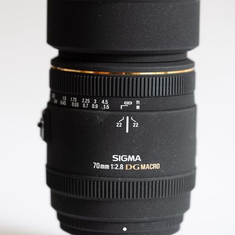 Sigma 70mm macro, f/2,8 for Nikon.