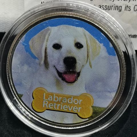 Labrador Retriever mynt, JFK half dollar, farget mynt  USA