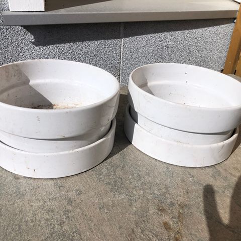2 Bonsai potter til planter / Ute - inne / Med lav kant.