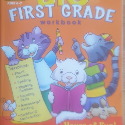 Big first grade workbook